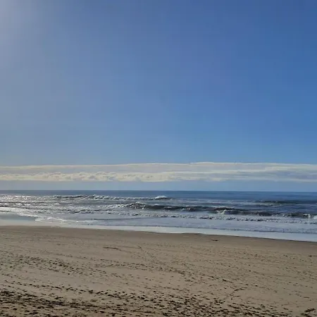 캠프장 Les Oyats *