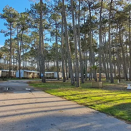 캠프장 Les Oyats 세노스