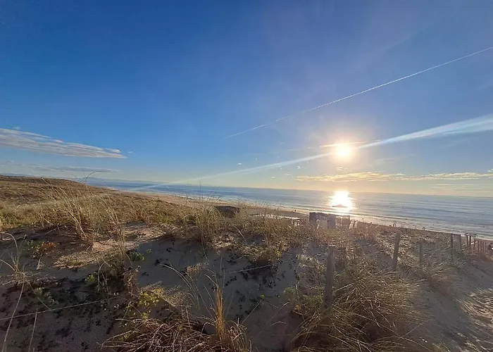 Les Oyats 营地 塞尼奥斯