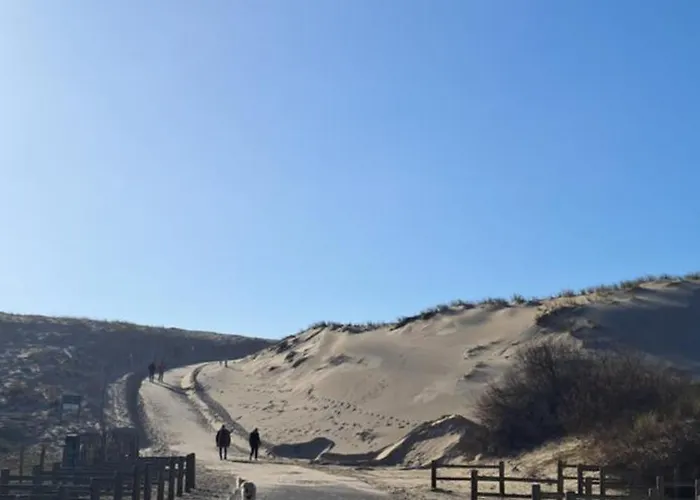 Les Oyats Camping Seignosse