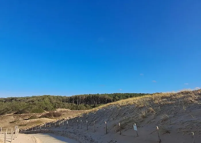 Les Oyats * Seignosse