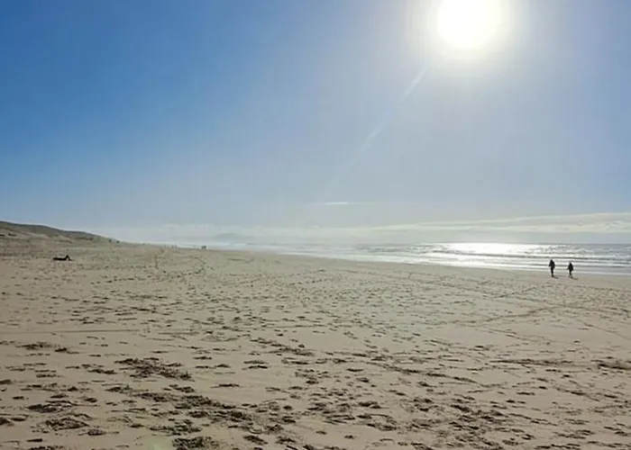 Les Oyats 营地 塞尼奥斯