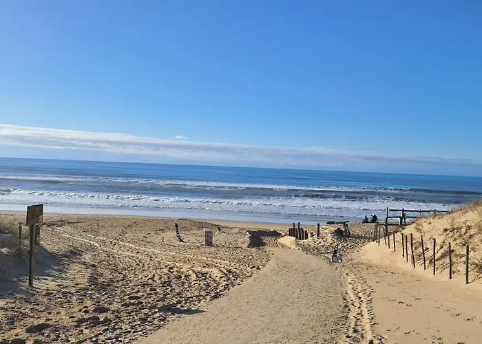 Les Oyats 营地 塞尼奥斯