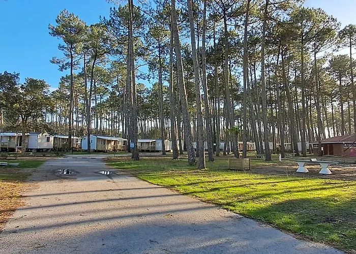 Camping Les Oyats Seignosse