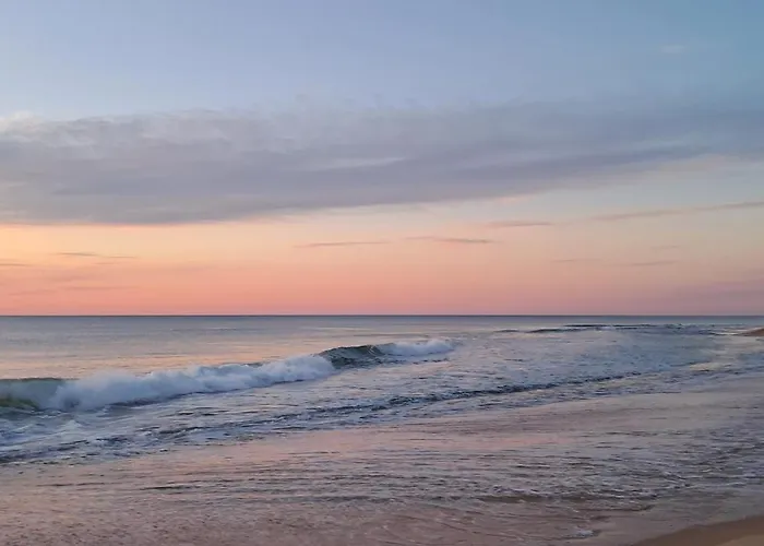 Les Oyats * Seignosse